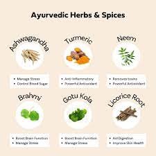 40 Powerful Ayurvedic Medicine Herbs and Spices to keep you healthy